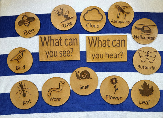 Set of 14 wooden educational discs