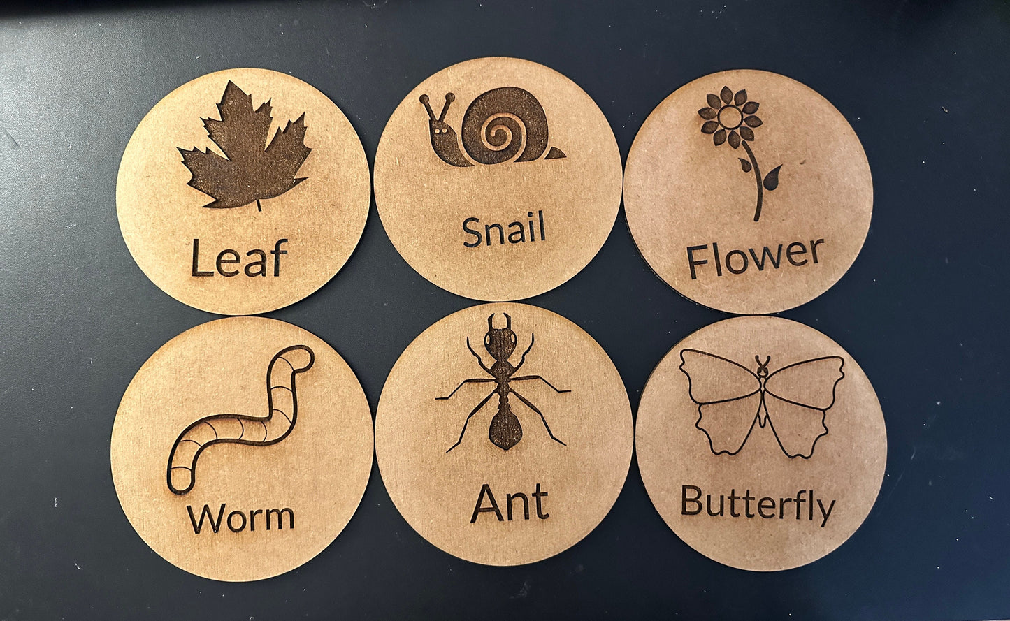 Wooden nature discs - early years - teaching aid - educational - learning - animals - forest school - resources - early learning